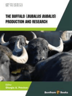 The Buffalo Bubalus bubalis - Production and Research