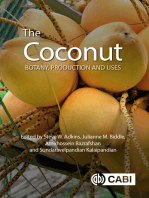 The Coconut: Botany, Production and Uses