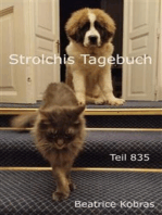 Strolchis Tagebuch - Teil 835: Teil 835