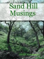 Sand Hill Musings