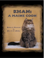 KHAN: A MAINE COON
