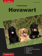 Traumrasse: Hovawart