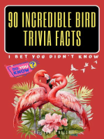 90 Incredible Bird Trivia Facts I Bet You Did't Know