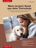 Mein (erster) Hund aus dem Tierschutz: Der Wegbegleiter zur Adoption eines Hundes von einer Pflegestelle, aus dem Tierheim oder direkt aus dem Ausland