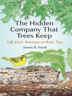 The Hidden Company That Trees Keep: Life from Treetops to Root Tips