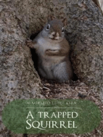 A Trapped Squirrel