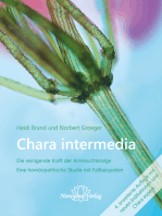 Chara intermedia