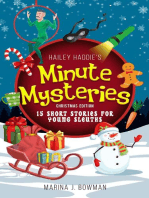 Hailey Haddie's Minute Mysteries Christmas Edition