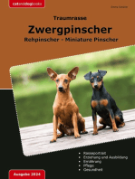 Traumrasse Zwergpinscher: Rehpinscher - Miniature Pinscher