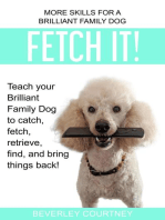 Fetch It!