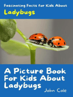 A Picture Book for Kids About Ladybugs: Fascinating Animal Facts