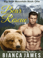 Bear Rescue