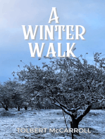 A Winter Walk