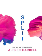 SPLIT: Souls in Transition