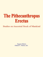 The Pithecanthropus Erectus: Studies on Ancestral Stock of Mankind