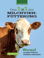 Das 1x1 der Milchviehfütterung: Worauf es beim Füttern wirklich ankommt
