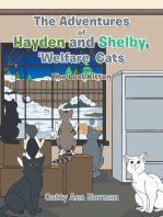 The Adventures of Hayden and Shelby, 'Welfare Cats: The Lost Kitten
