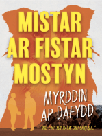 Mistar ar Fistar Mostyn