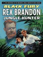 Rex Brandon #3: Black Fury