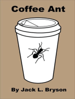Coffee Ant