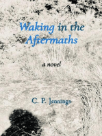 Waking in the Aftermaths: a novel