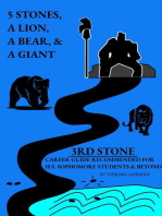3rd Stone: 5 Stones, a Lion, a Bear and a Giant, #3