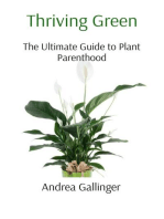 Thriving Green: The Ultimate Guide to Plant Parenthood