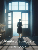 Meeting Strangers: Starting Over Novels