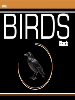 Black birds