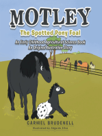 MOTLEY: The Spotted Pony Foal