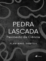 Pedra Lascada: pavimento da ciência