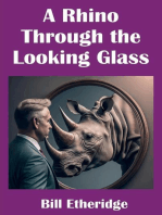 A Rhino Through the Looking Glass