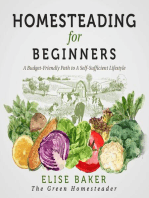 Homesteading For Beginners