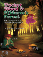 Pocket Wood & Kildarock Forest