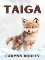 Taiga