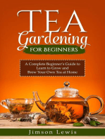 TEA GARDENING FOR BEGINNERS: A Complete Beginner's Guide to Learn to Grow and  Brew Your Own Tea at Home