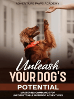 Unleash Your Dog's Potential - Mastering Commands for Unforgettable Outdoor Adventures