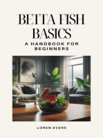 Betta Fish Basics
