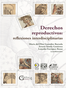 Derechos reproductivos: reflexiones interdisciplinarias de María ...