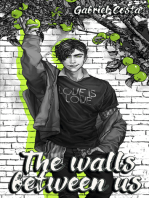The Walls Between Us