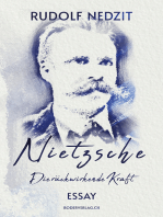 Nietzsche - Die rückwirkende Kraft: Essay