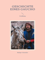 Geschichte eines Gaucho
