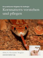 Kornnattern verstehen und pflegen