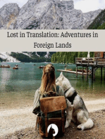 Lost in Translation: Adventures in Foreign Lands