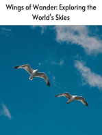 Wings of Wander: Exploring the World's Skies