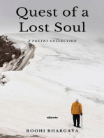 Quest of a Lost Soul
