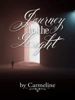 Journey to the Light