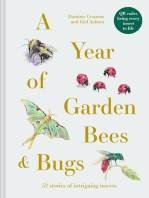 A Year of Garden Bees and Bugs: 52 stories of intriguing insects