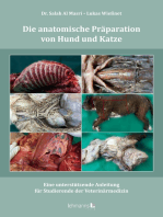 Die anatomische Präparation von Hund und Katze: Eine unterstützende Anleitung für Studierende der Veterinärmedizin