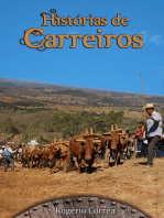 Histórias De Carreiros